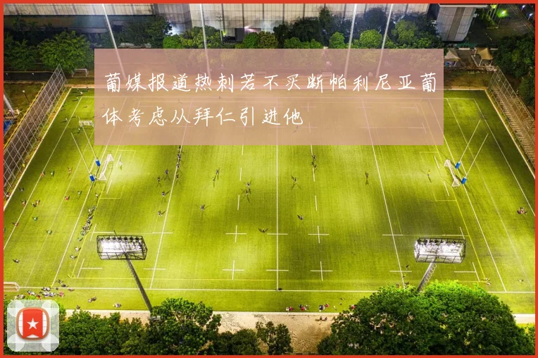 葡媒报道热刺若不买断帕利尼亚葡体考虑从拜仁引进他